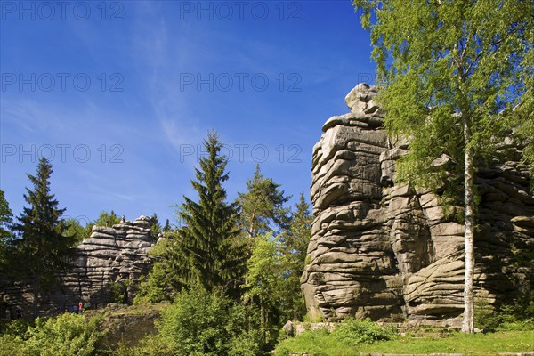 Griffin stones