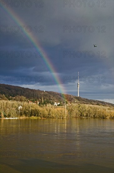 Elbe view from blauen Wunder