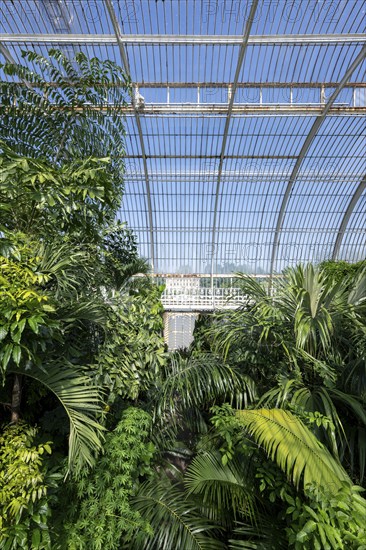 Palm House, oldest Victorian greenhouse in the world, Royal Botanic Gardens, Kew, London, England,