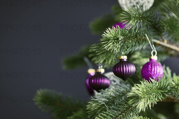 Close up of beautiful purple glass tree bauble with decorated Christmas tree with other seasonal