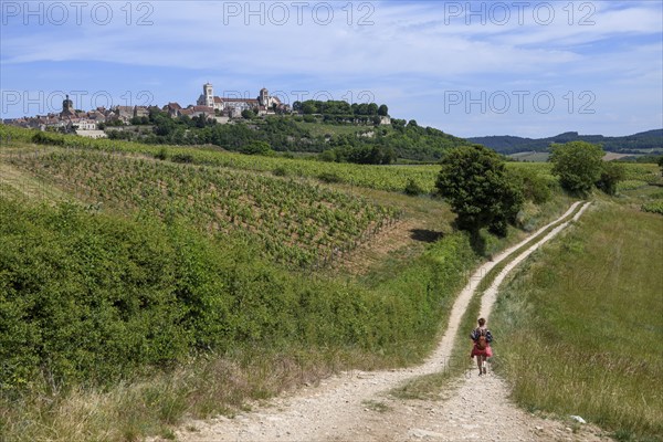 Hikers on the way to Vézelay, Yonne department, Bourgogne-Franche-Comté region, Burgundy, France,