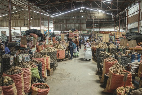 Market hall, potato variety, Mercado Mayorista, Huancayo, Peru, South America