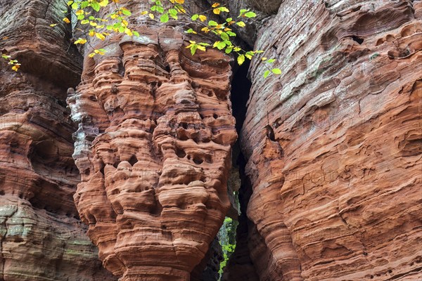 Eroded red sandstone, old castle rock, close-up, natural and cultural monument, Brechenberg near