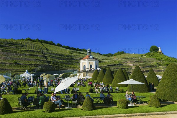Winery Wackerbarth Castle