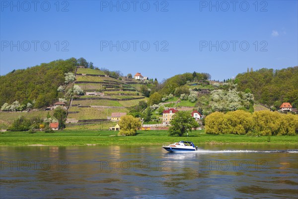 Elbe at the Boselspitze