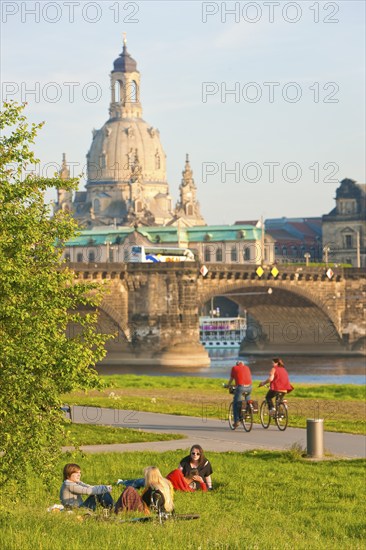Dresden Elbe meadows in spring