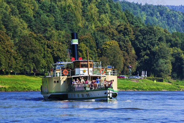 Elbe steamer Pirna in Wehlen