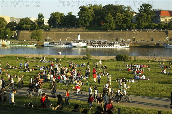 Elbe in Dresden