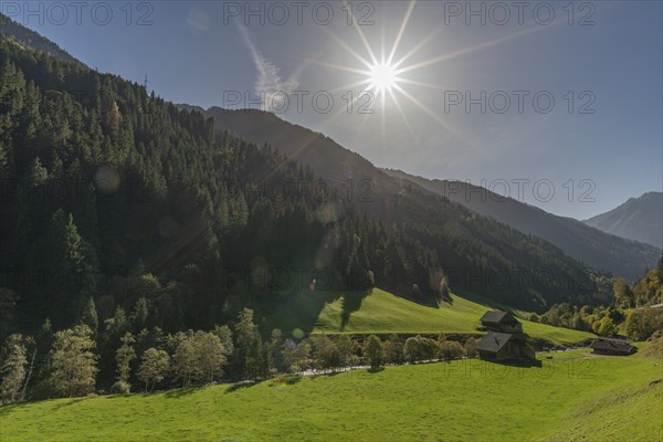 Agriculture, Alpine pasture in the Zillergrund valley, Ziller mountain stream, Alpine meadow,