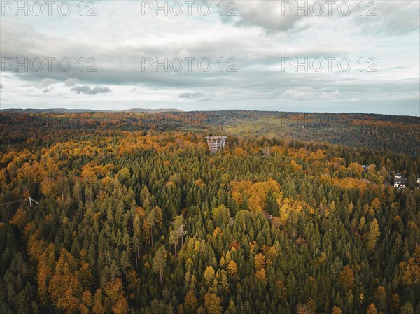 Aerial view of the observation tower treetop walk in the autumn forest, Bad Wildbad, Black Forest,