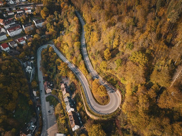 Aerial view S-curve in autumn, Calw, Black Forest Germany