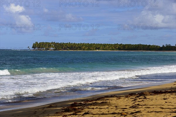 A tropical beach with palm trees in the background and blue ocean under a partly cloudy sky, Limon
