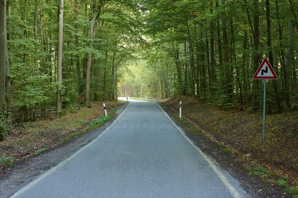 Road, deciduous forest, danger sign, double curve, morning, Buchen, Odenwald, Baden-Württemberg,