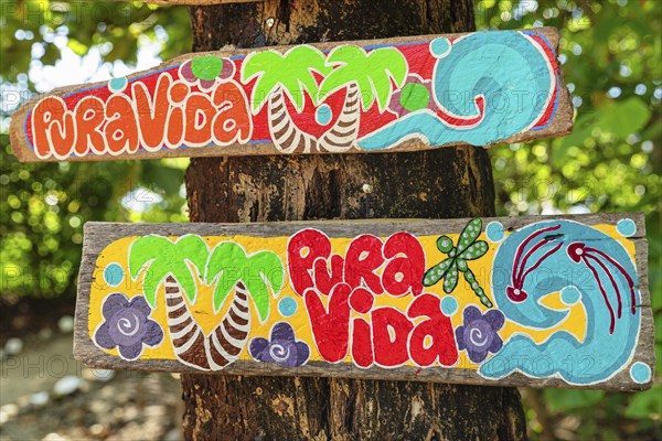 Sign with the life motto Pura Vida, Santa Teresa, Nicoya Peninsula, Guanacaste, Costa Rica, Central