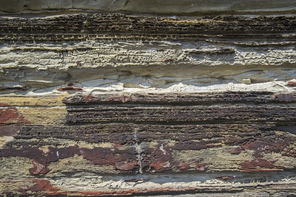 Close up of Devonian Old Red Sandstone in sea cliff at Duncansby Head near John o' Groats,