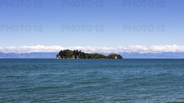 Abel Tasman Coast Track, Apple-Tree-Bay, Kaiteriteri, New Zealand, Oceania