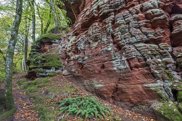 Old castle rock, red sandstone rock formation, natural and cultural monument, Brechenberg near