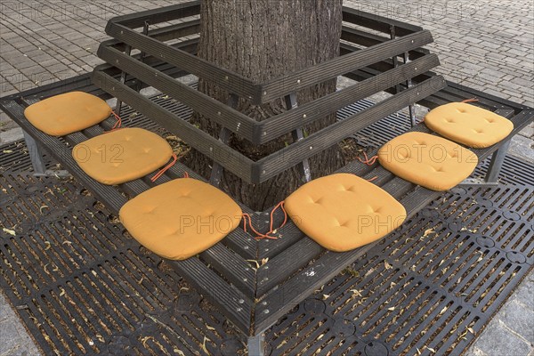 Yellow seat cushions on a park bench, Nuremberg, Middle Franconia, Bavaria, Germany, Europe
