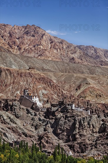 Basgo Gompa (Tibetan Buddhist monastery) . Ladakh, India, Asia