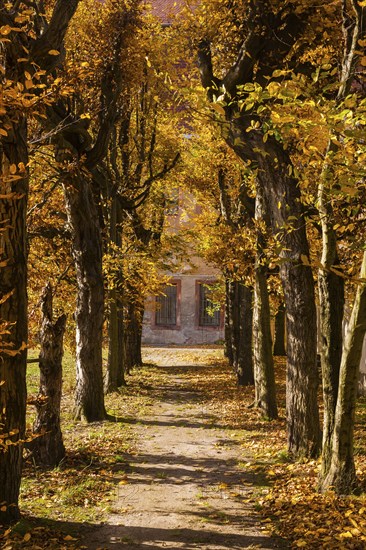 Wechselburg Monastery