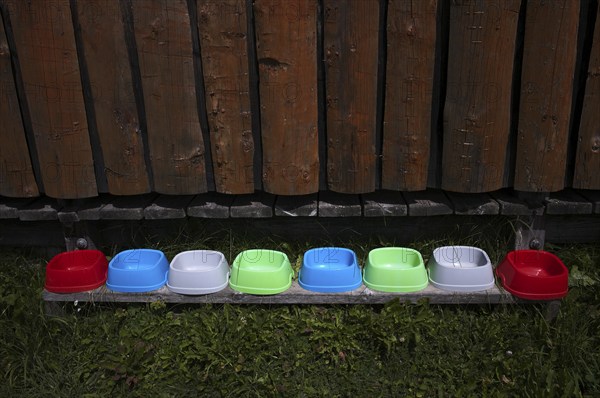 Water bowl, water bowl for dogs, alpine pasture, Puez-Odle nature Park, Seceda, Trentino, South