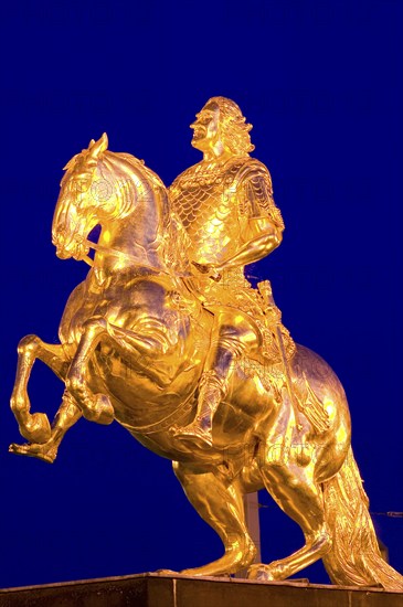 Golden Rider