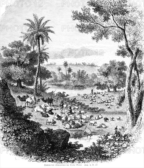 Flocks of the Simeonites in the Valley of Gedor, valley, country sheep, mountains, flock of sheep,