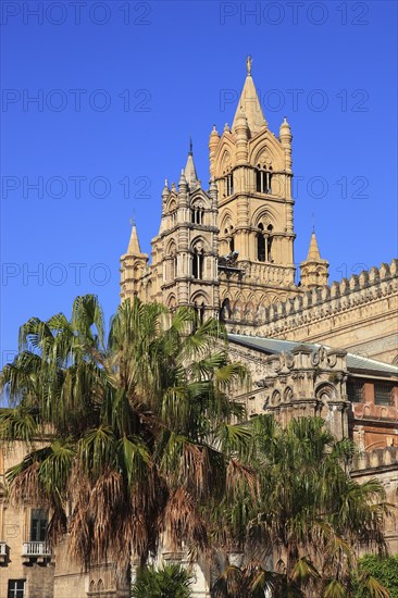 City of Palermo, the West Tower of the Archbishop's Palace and the Cathedral Maria Santissima