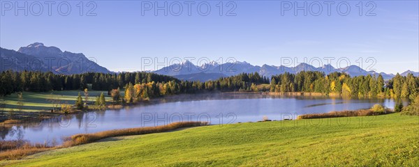 Hegratsrieder See near Füssen, Allgäu Alps, Allgäu, Bavaria, Germany, Europe