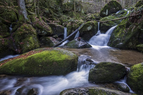 Gertelbach, Gertelbach Waterfalls, Gertelbach Falls, Gertelbach Gorge, Bühl, Bühlertal, Northern