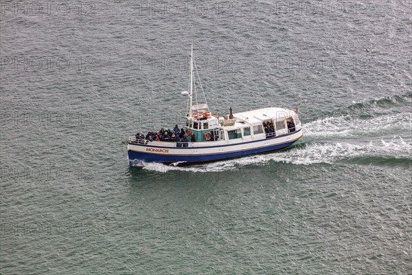 Boot, Taiaroa Head, Otago-Halbinsel, Neuseeland
