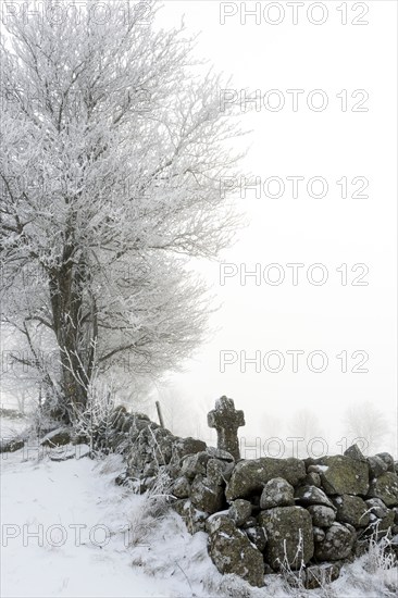 Aubrac plateau. Stone path cross in winter. Lozere department. Occitanie. France