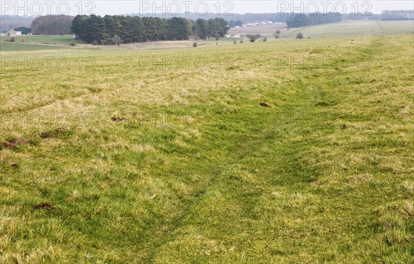 Field view of faint embankment lines 5, 500 years old Stonehenge Cursus, Wiltshire, England, UK