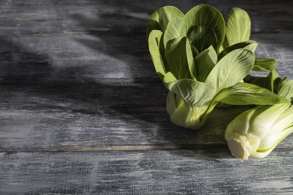 Fresh green bok choy or pac choi chinese cabbage on a gray wooden background. Hard light, contrast.