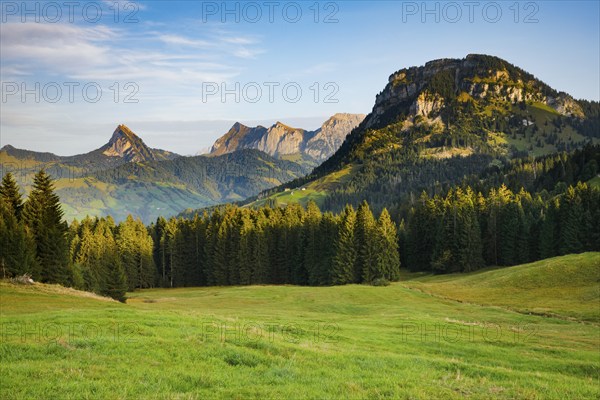 View from the Sattelegg with Gross Aubrig in the foreground and Chöpfenberg, Tierberg, Bockmattli