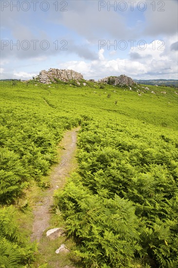Granite upland landscape Greator Rocks, Dartmoor national park, Devon, England, UK