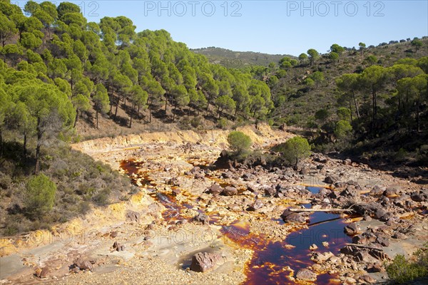 Blood red mineral laden water Rio Tinto river Minas de Riotinto mining area, Huelva province,