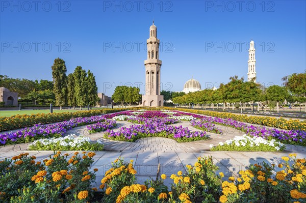 Sultan Qaboos Grand Mosque, blooming flowers in gardens, Muscat, Oman, Asia