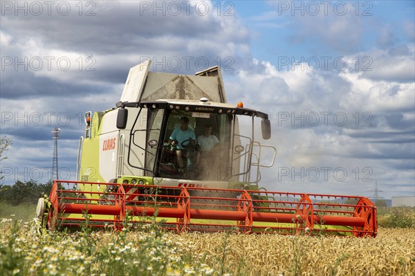 Grain harvest in the Rhein-Pfalz district near Mutterstadt