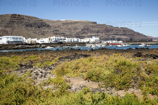 Harbour and white houses in the fishing village of Orzola, Lanzarote, Canary Islands, Spain, Europe