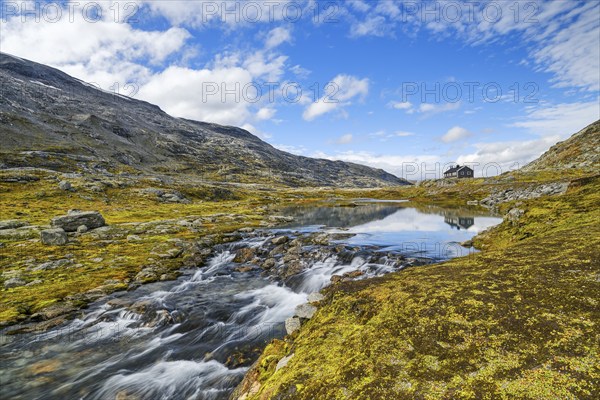 Stream in Breiddalen under a blue sky, autumn, Djupvatnet, mountain, Geiranger, Møre og Romsdal,