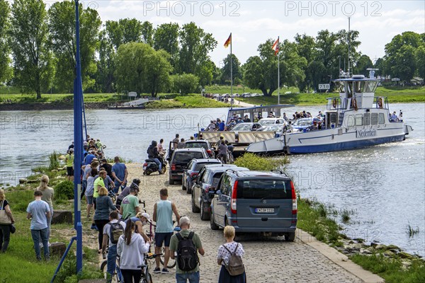Rhine ferry Urdenbach-Zons, on the Urdenbachen Kämpe, Lower Rhine cultural landscape, Düsseldorf,