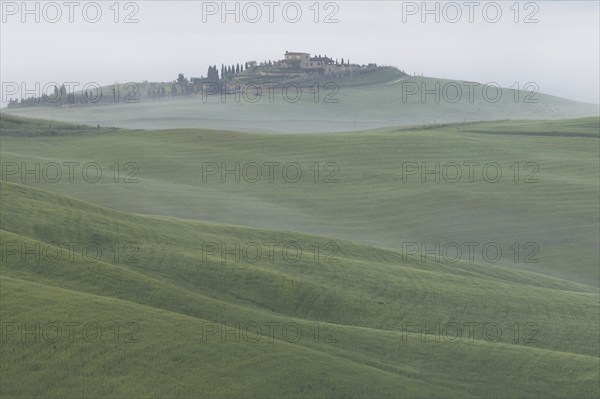 Landscape at sunrise around Volterra, Province of Pisa, Tuscany, Italy, Europe