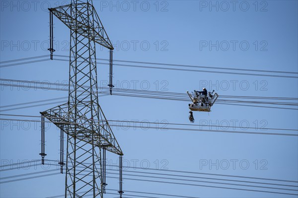 Construction of a new line route, 380 KV extra-high-voltage line between Osterath and Gohr, near