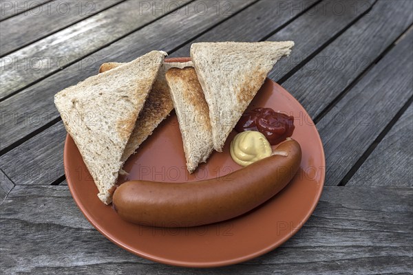 Bockwurst sausage sausage served on a plate with slices of toast, Mecklenburg-Vorpommern, Germany,