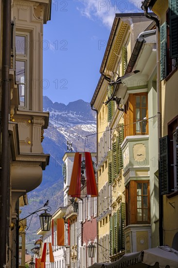 Lauben, Laubengasse, Merano, South Tyrol, Italy, Europe