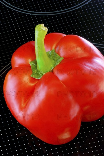 Red pepper on glass plate, Stillife, Studio