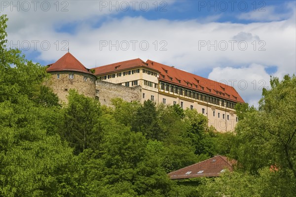 Hohentübingen Palace, Museum of the University of Tübingen MUT, higher education institution,