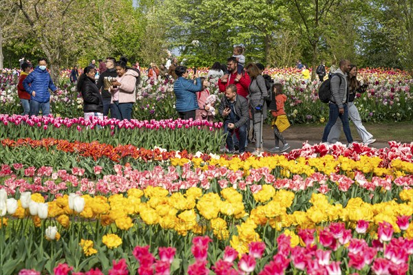 The Keukenhof, gardens, amusement park, spring park, spring flower show, near Lisse, South Holland,