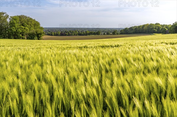 Sonsbeck Switzerland, a part of the Lower Rhine mountain range, an end moraine pushed up during the